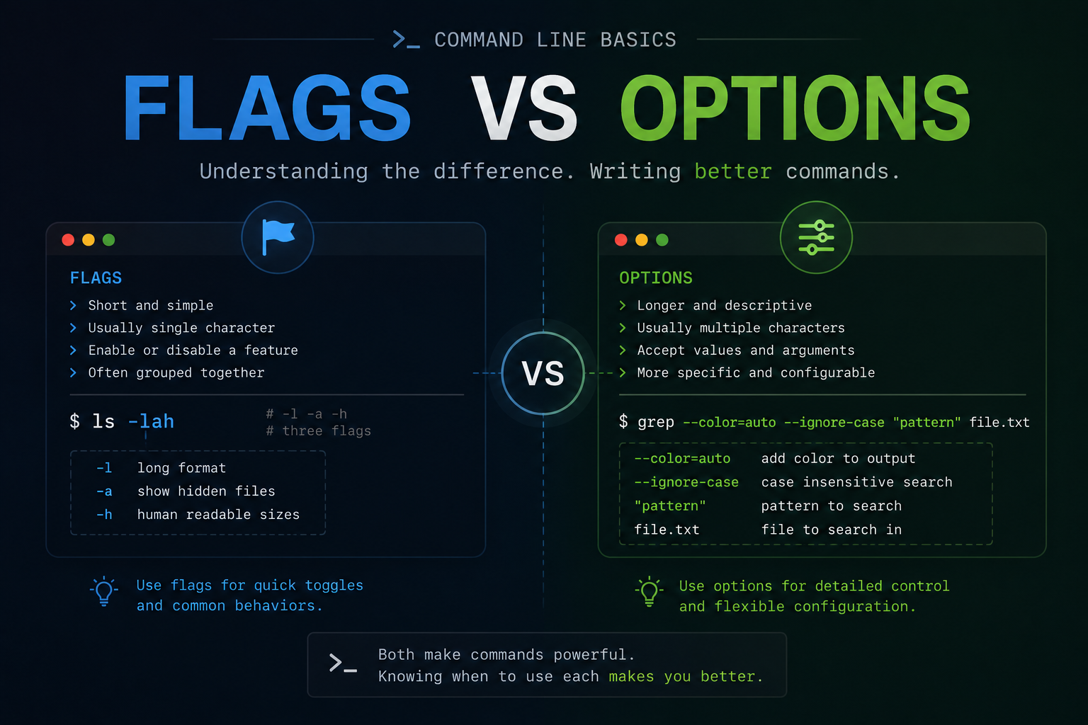 Flags vs Options